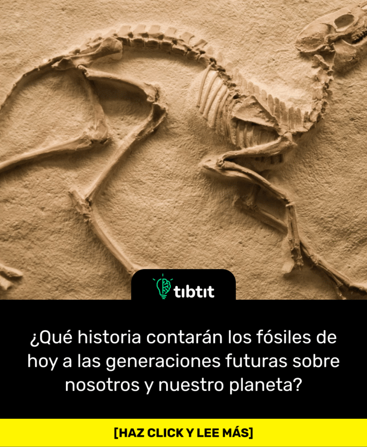 ¿Qué historia contarán los fósiles de hoy a las generaciones futuras sobre nosotros y nuestro planeta?