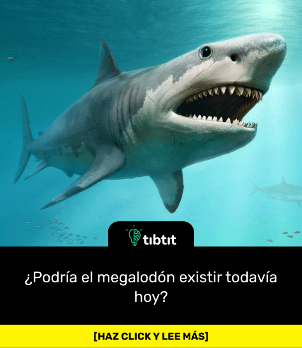 ¿Podría el megalodón existir todavía hoy?