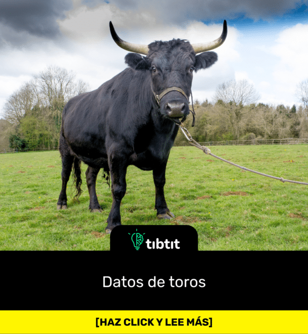 Datos de toros