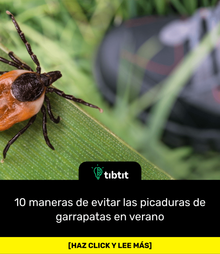 10 maneras de evitar las picaduras de garrapatas en verano