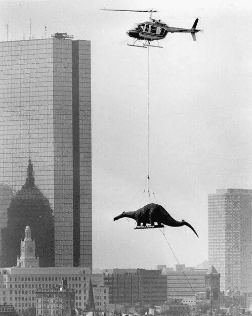 Entrega de un dinosaurio al Museo de Ciencias de Boston, 1984. Todavía tienen los dinosaurios antiguos (este y un T-rex) frente al museo con una placa que dice que así es como los científicos pensaban que se veían los dinosaurios en la década de 1960.