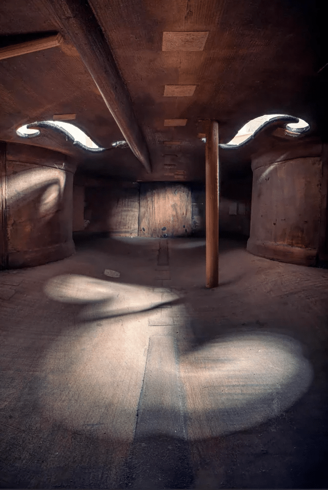 Dentro de un violonchelo de 240 años