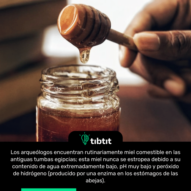 Los arqueólogos encuentran rutinariamente miel comestible en las antiguas tumbas egipcias; esta miel nunca se estropea debido a su contenido de agua extremadamente bajo, pH muy bajo y peróxido de hidrógeno (producido por una enzima en los estómagos de las abejas).