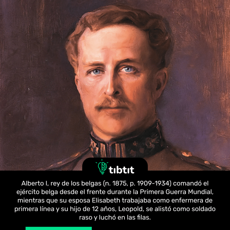 Alberto I, rey de los belgas (n. 1875, p. 1909-1934) comandó el ejército belga desde el frente durante la Primera Guerra Mundial, mientras que su esposa Elisabeth trabajaba como enfermera de primera línea y su hijo de 12 años, Leopold, se alistó como soldado raso y luchó en las filas.