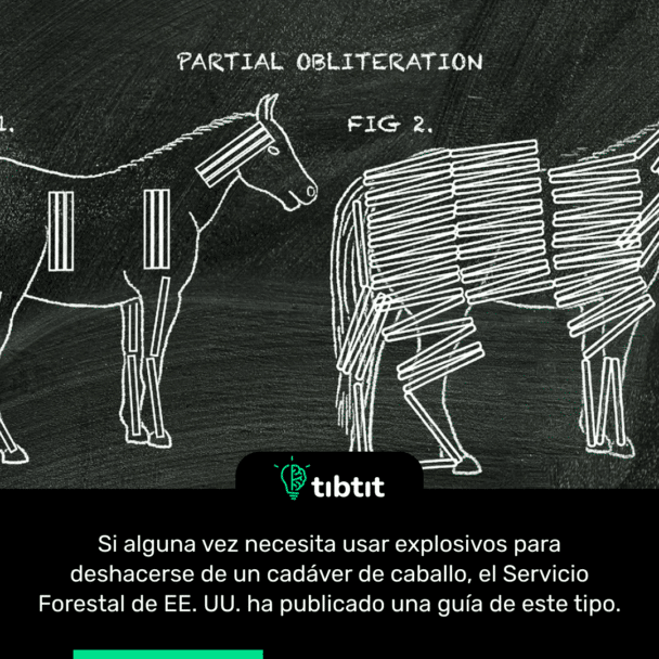 Si alguna vez necesita usar explosivos para deshacerse de un cadáver de caballo, el Servicio Forestal de EE. UU. ha publicado una guía de este tipo.