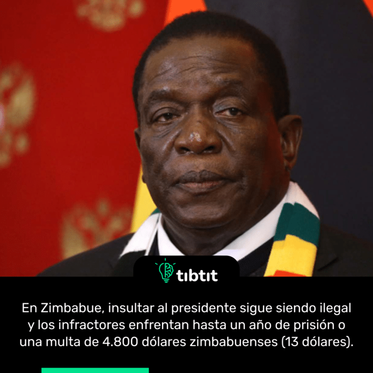 En Zimbabue, insultar al presidente sigue siendo ilegal y los infractores enfrentan hasta un año de prisión o una multa de 4.800 dólares zimbabuenses (13 dólares).