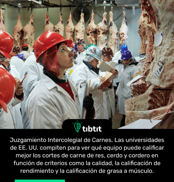 Juzgamiento Intercolegial de Carnes. Las universidades de EE. UU. compiten para ver qué equipo puede calificar mejor los cortes de carne de res, cerdo y cordero en función de criterios como la calidad, la calificación de rendimiento y la calificación de grasa a músculo.