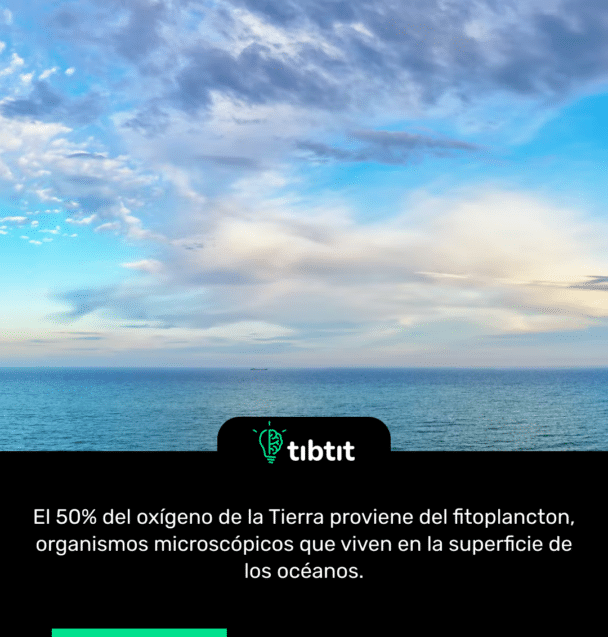 El 50% del oxígeno de la Tierra proviene del fitoplancton, organismos microscópicos que viven en la superficie de los océanos.