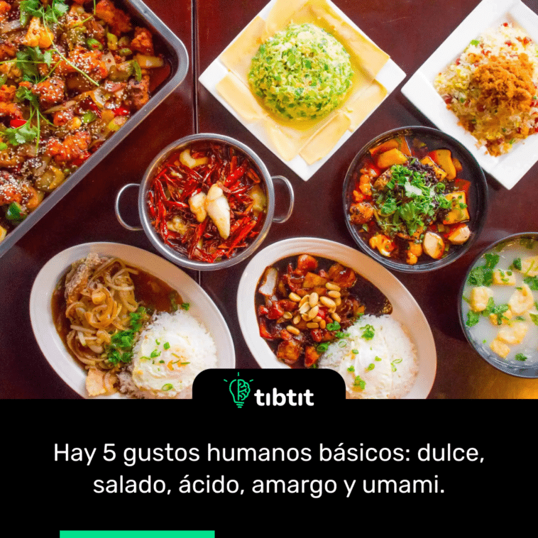 Hay 5 gustos humanos básicos: dulce, salado, ácido, amargo y umami.