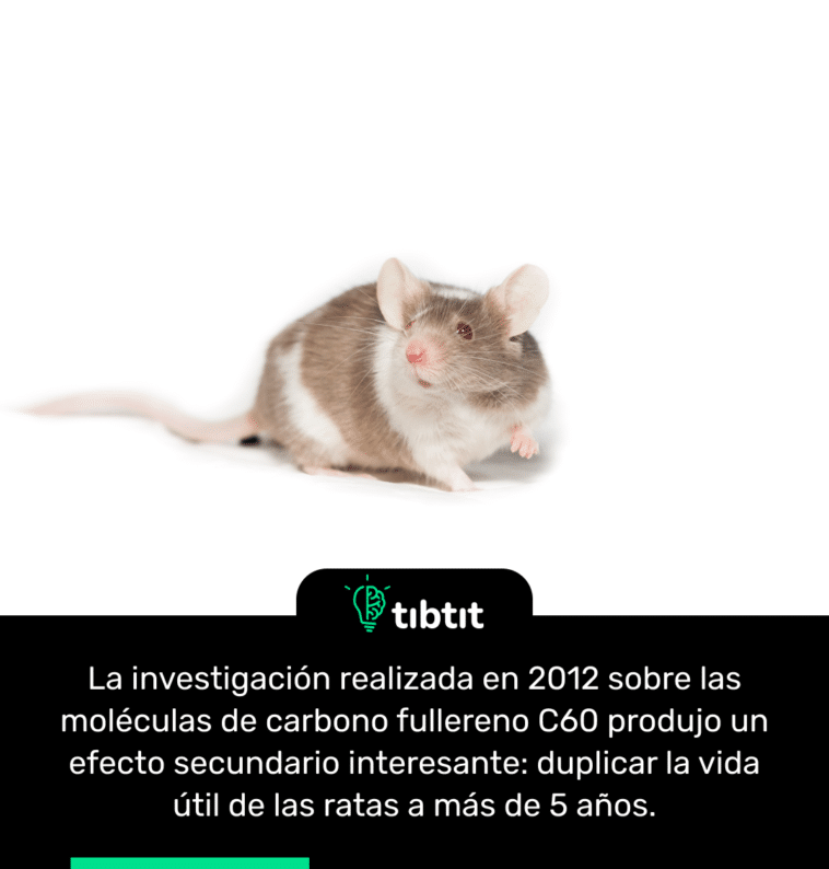 La investigación realizada en 2012 sobre las moléculas de carbono fullereno C60 produjo un efecto secundario interesante: duplicar la vida útil de las ratas a más de 5 años.