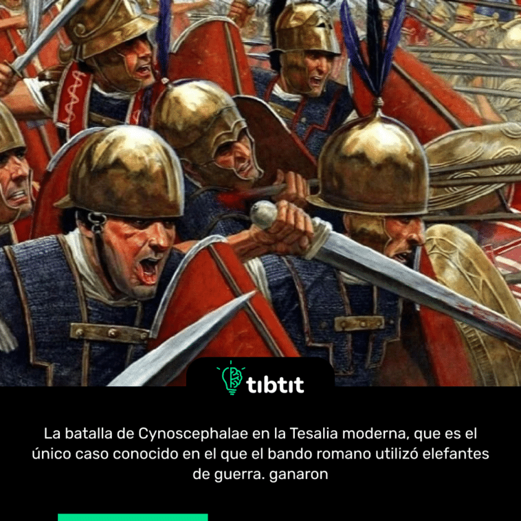 La batalla de Cynoscephalae en la Tesalia moderna, que es el único caso conocido en el que el bando romano utilizó elefantes de guerra. ganaron