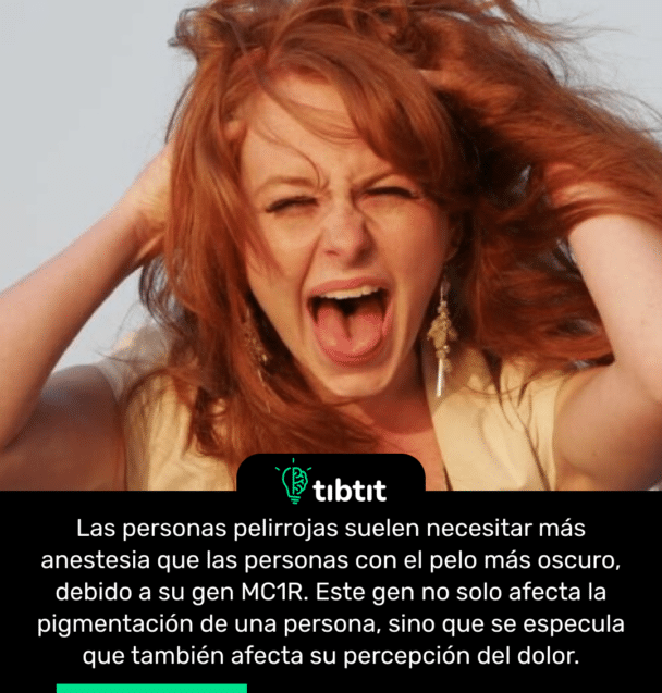 Las personas pelirrojas suelen necesitar más anestesia que las personas con el pelo más oscuro, debido a su gen MC1R. Este gen no solo afecta la pigmentación de una persona, sino que se especula que también afecta su percepción del dolor.