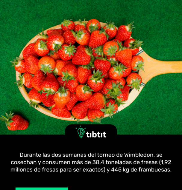 Durante las dos semanas del torneo de Wimbledon, se cosechan y consumen más de 38,4 toneladas de fresas (1,92 millones de fresas para ser exactos) y 445 kg de frambuesas.