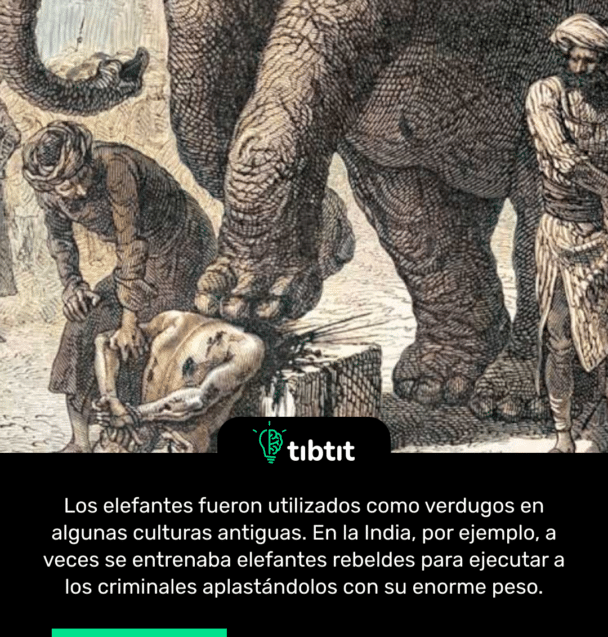 Los elefantes fueron utilizados como verdugos en algunas culturas antiguas. En la India, por ejemplo, a veces se entrenaba elefantes rebeldes para ejecutar a los criminales aplastándolos con su enorme peso.