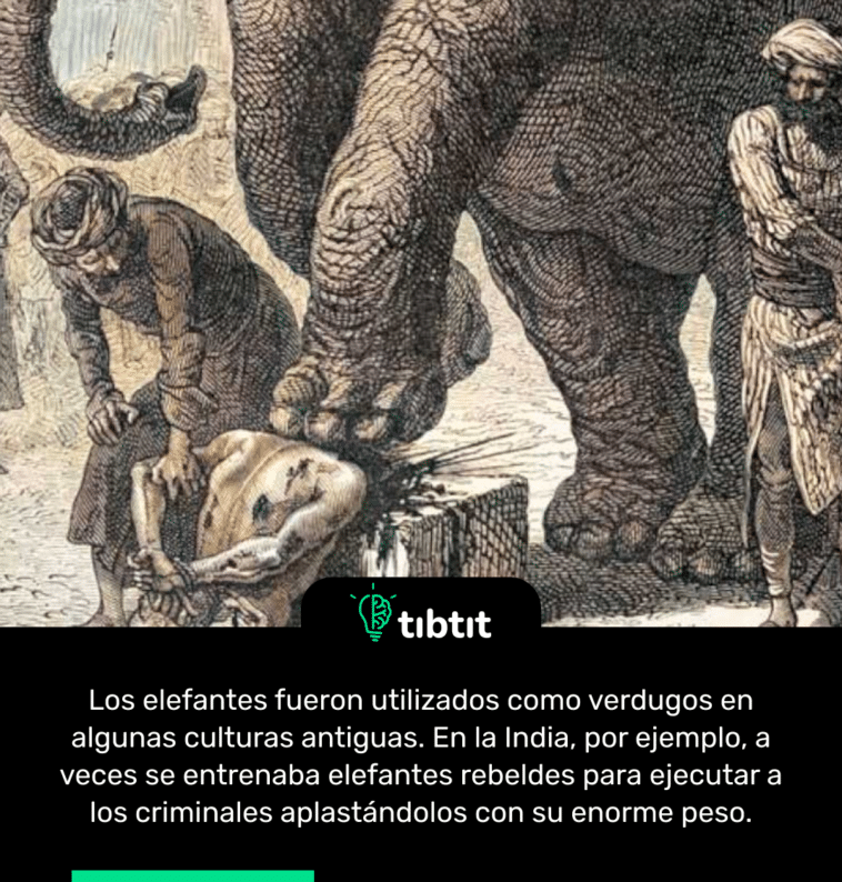 Los elefantes fueron utilizados como verdugos en algunas culturas antiguas. En la India, por ejemplo, a veces se entrenaba elefantes rebeldes para ejecutar a los criminales aplastándolos con su enorme peso.
