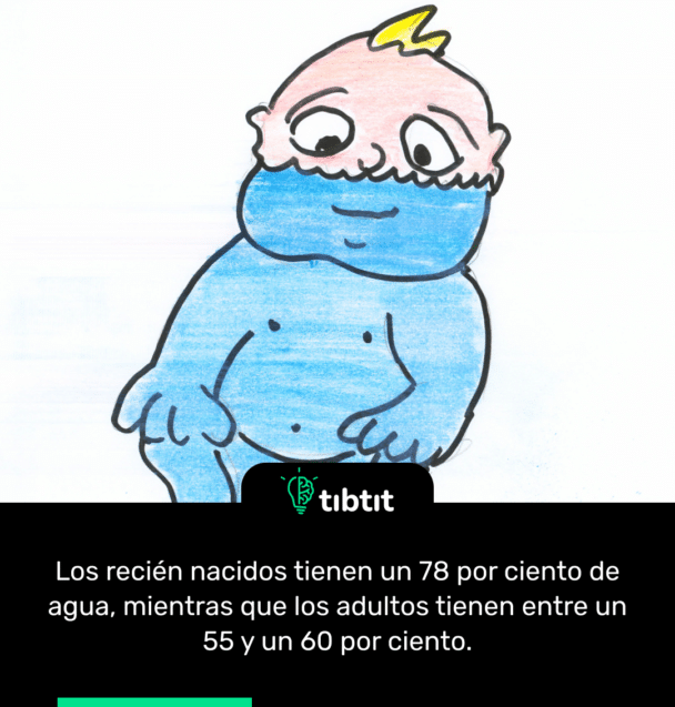 Los recién nacidos tienen un 78 por ciento de agua, mientras que los adultos tienen entre un 55 y un 60 por ciento.