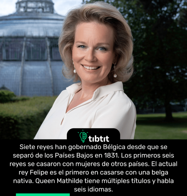 Siete reyes han gobernado Bélgica desde que se separó de los Países Bajos en 1831. Los primeros seis reyes se casaron con mujeres de otros países. El actual rey Felipe es el primero en casarse con una belga nativa. Queen Mathilde tiene múltiples títulos y habla seis idiomas.