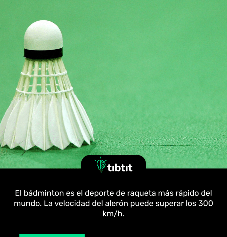 El bádminton es el deporte de raqueta más rápido del mundo. La velocidad del alerón puede superar los 300 km/h.