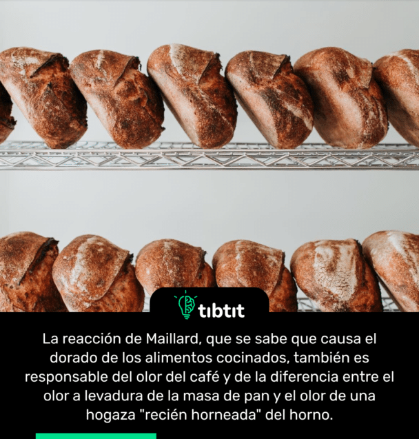 La reacción de Maillard, que se sabe que causa el dorado de los alimentos cocinados, también es responsable del olor del café y de la diferencia entre el olor a levadura de la masa de pan y el olor de una hogaza "recién horneada" del horno.
