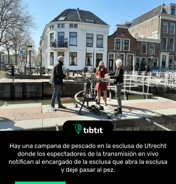 Hay una campana de pescado en la esclusa de Utrecht donde los espectadores de la transmisión en vivo notifican al encargado de la esclusa que abra la esclusa y deje pasar al pez.