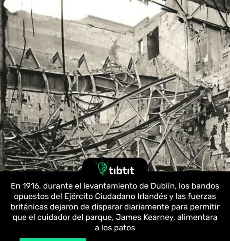 En 1916, durante el levantamiento de Dublín, los bandos opuestos del Ejército Ciudadano Irlandés y las fuerzas británicas dejaron de disparar diariamente para permitir que el cuidador del parque, James Kearney, alimentara a los patos