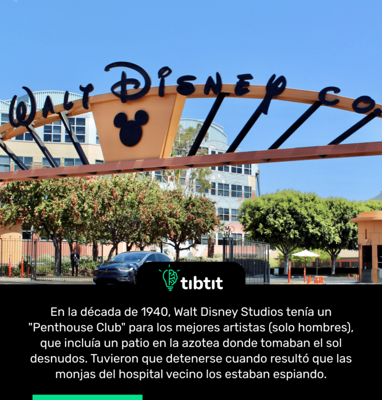 En la década de 1940, Walt Disney Studios tenía un "Penthouse Club" para los mejores artistas (solo hombres), que incluía un patio en la azotea donde tomaban el sol desnudos. Tuvieron que detenerse cuando resultó que las monjas del hospital vecino los estaban espiando.