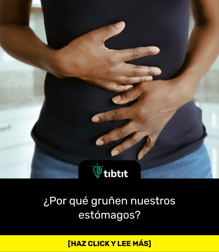 ¿Por qué gruñen nuestros estómagos?