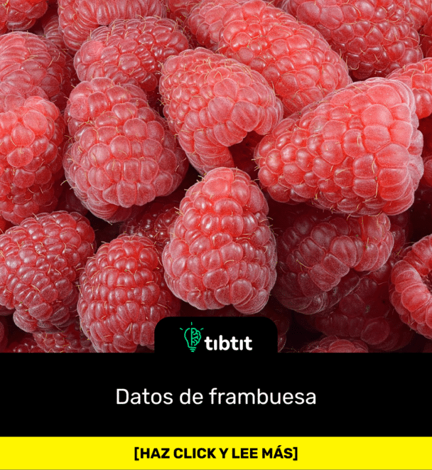 Datos de frambuesa