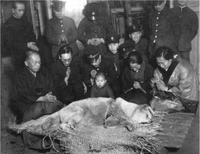Residentes de Tokio están de luto por Hachiko