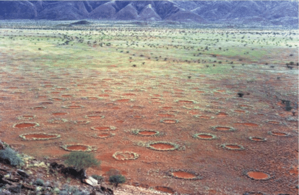 (Namibia) Natural circular formations called "Fairy Circles" sometimes appear on arid grasslands all over Africa & Australia. It is still unknown how they form.