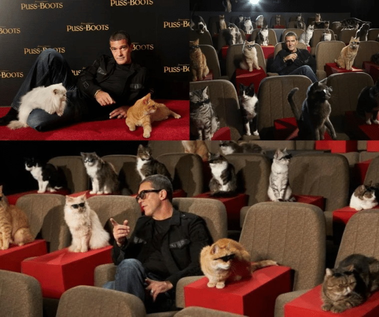 Antonio Banderas en el estreno de 'El gato con botas'