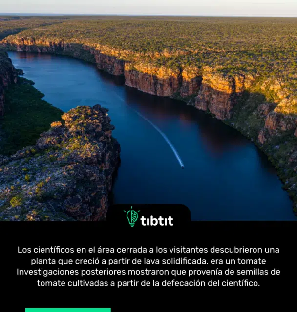 Los científicos en el área cerrada a los visitantes descubrieron una planta que creció a partir de lava solidificada. era un tomate Investigaciones posteriores mostraron que provenía de semillas de tomate cultivadas a partir de la defecación del científico.