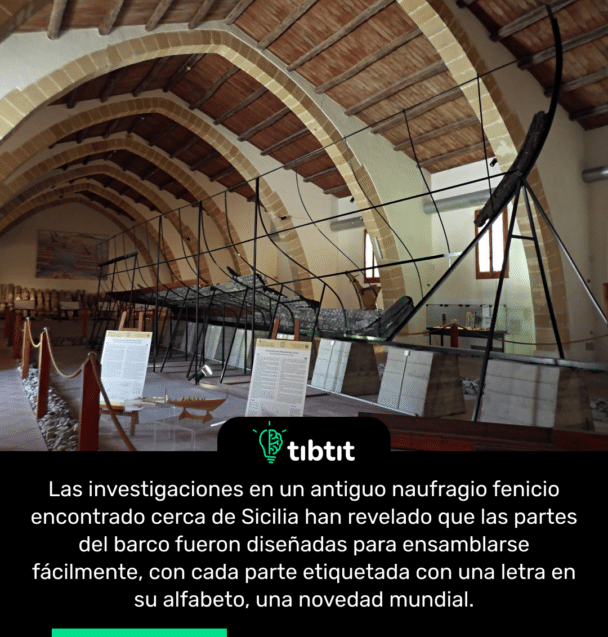 Las investigaciones en un antiguo naufragio fenicio encontrado cerca de Sicilia han revelado que las partes del barco fueron diseñadas para ensamblarse fácilmente, con cada parte etiquetada con una letra en su alfabeto, una novedad mundial.