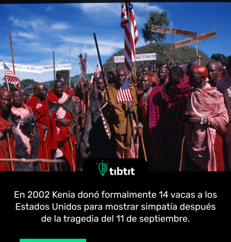 En 2002 Kenia donó formalmente 14 vacas a los Estados Unidos para mostrar simpatía después de la tragedia del 11 de septiembre.