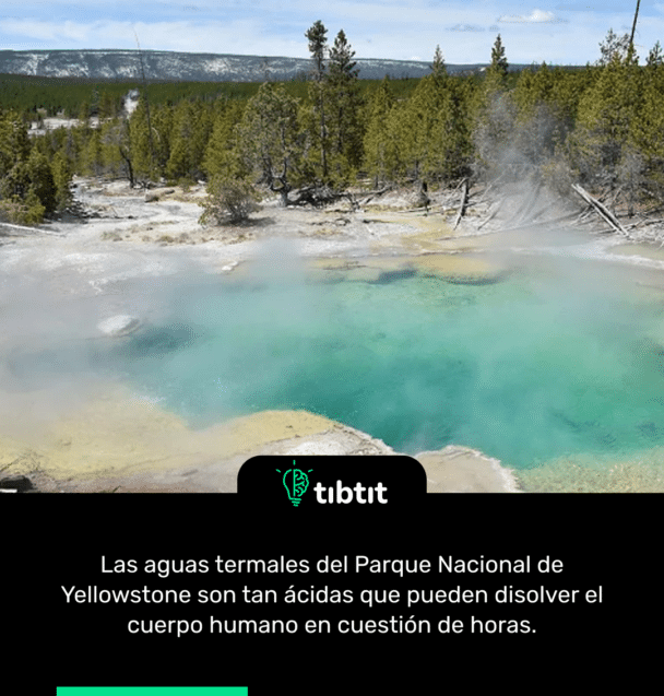 Las aguas termales del Parque Nacional de Yellowstone son tan ácidas que pueden disolver el cuerpo humano en cuestión de horas.