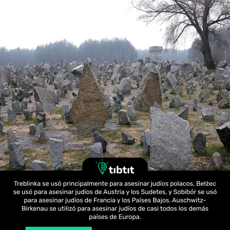 Treblinka se usó principalmente para asesinar judíos polacos, Bełżec se usó para asesinar judíos de Austria y los Sudetes, y Sobibór se usó para asesinar judíos de Francia y los Países Bajos. Auschwitz-Birkenau se utilizó para asesinar judíos de casi todos los demás países de Europa.