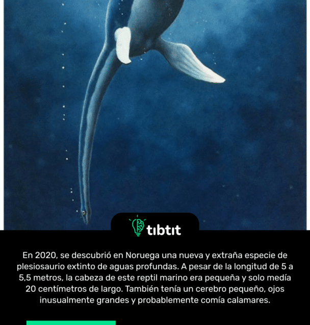 En 2020, se descubrió en Noruega una nueva y extraña especie de plesiosaurio extinto de aguas profundas. A pesar de la longitud de 5 a 5,5 metros, la cabeza de este reptil marino era pequeña y solo medía 20 centímetros de largo. También tenía un cerebro pequeño, ojos inusualmente grandes y probablemente comía calamares.