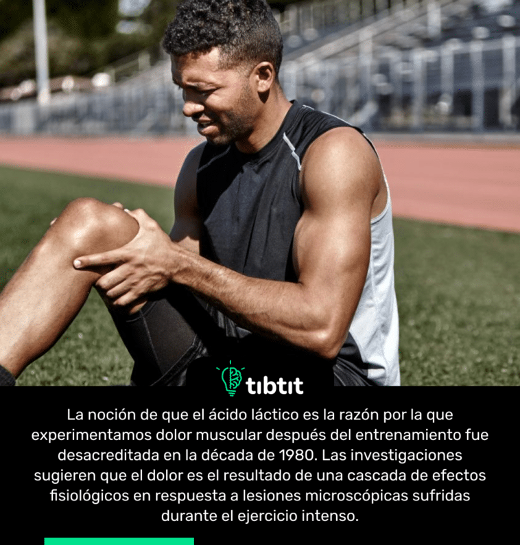 La noción de que el ácido láctico es la razón por la que experimentamos dolor muscular después del entrenamiento fue desacreditada en la década de 1980. Las investigaciones sugieren que el dolor es el resultado de una cascada de efectos fisiológicos en respuesta a lesiones microscópicas sufridas durante el ejercicio intenso.