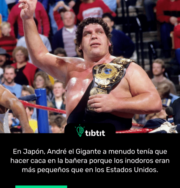 En Japón, André el Gigante a menudo tenía que hacer caca en la bañera porque los inodoros eran más pequeños que en los Estados Unidos.