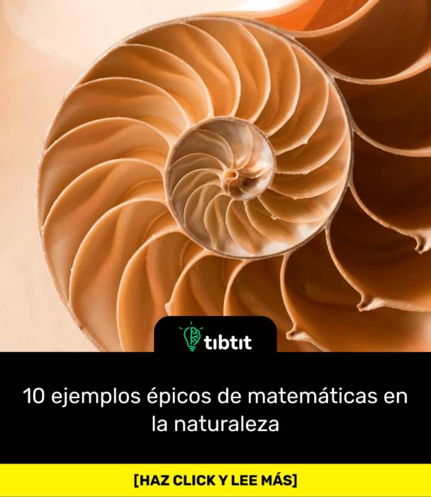 10 ejemplos épicos de matemáticas en la naturaleza