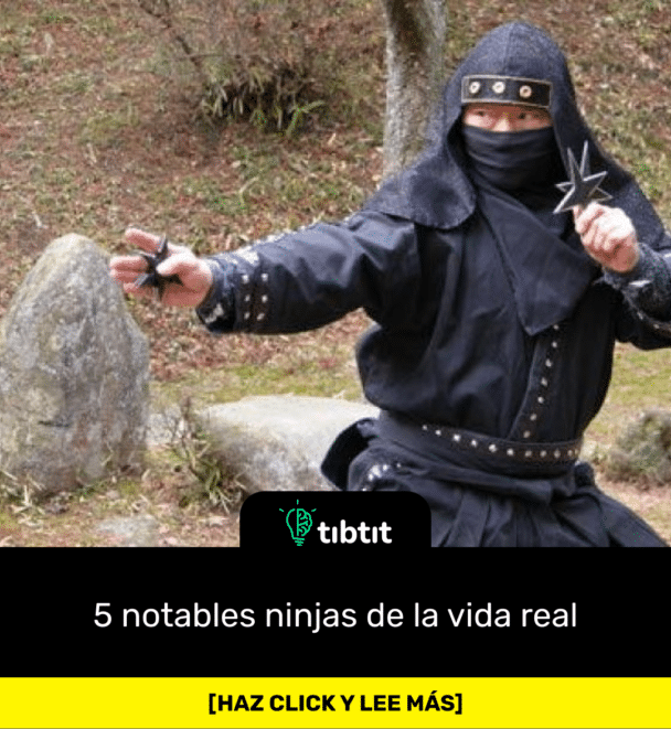 5 notables ninjas de la vida real