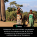 Madagascar fue colonizado por una pequeña población de mujeres, no más de 30. Estas mujeres son las antecesoras de todos los pueblos indígenas de Madagascar.