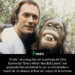 "Clyde", el orangután de la película de Clint Eastwood "Every Which Way But Loose", era golpeado frecuentemente por su entrenador y murió de un ataque al final del rodaje de la secuela