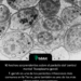 10 hechos sorprendentes sobre el parásito del 'control mental' Toxoplasma gondii T. gondii es uno de los parásitos infecciosos más comunes en la Tierra, pero también es uno de los más interesantes para conocer.