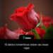 12 datos románticos sobre las rosas rojas