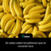 30 datos sobre los plátanos que te volverán loco
