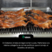 En Estados Unidos es legal comer cuyes. Pertenece a la misma categoría de carnes exóticas que el conejo, el bisonte y el venado.