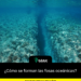 ¿Cómo se forman las fosas oceánicas?