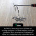 Niektórzy rolnicy dają swoim krowom do połknięcia magnes. Ten mały magnes przyciąga gwoździe i druty, które krowa przypadkowo zjada. Bez magnesów metal przeszedłby przez żołądek krowy i uszkodziłby jej inne organy.
