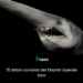 15 datos curiosos del tiburón duende loco